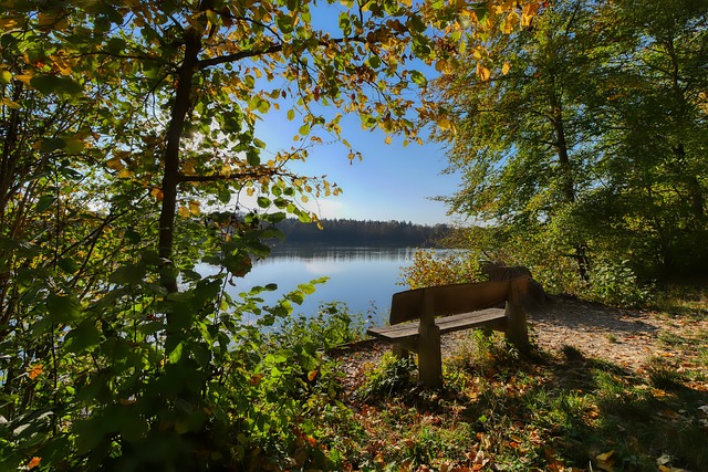 虽然最终阿 虽然最终阿